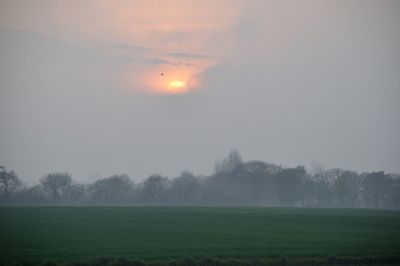 Scenic view of field against sky during foggy weather