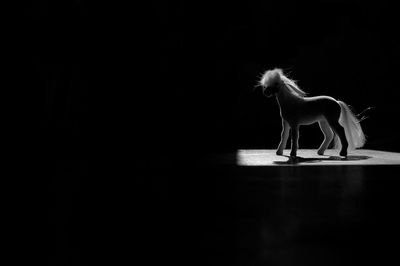 Toy horse on table over black background