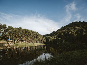 Scenic view of lake and trees against sky