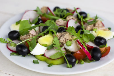 Close-up of salad served in plate