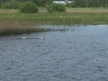 Scenic view of lake