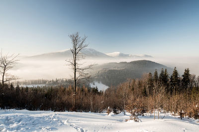 Snow covered field against sky