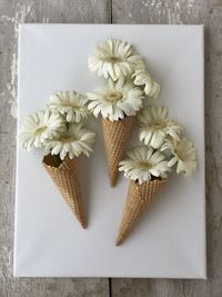 Directly above shot of flowers on table