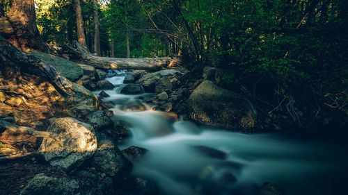 Stream flowing through rocks in forest