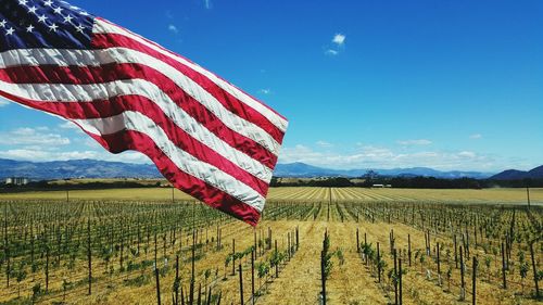 American flag against farm