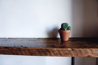 Close-up of potted plant on table