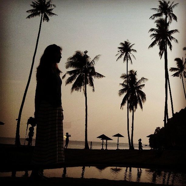 palm tree, silhouette, leisure activity, lifestyles, tree, sea, men, beach, sky, water, sunset, person, clear sky, standing, enjoyment, full length, vacations