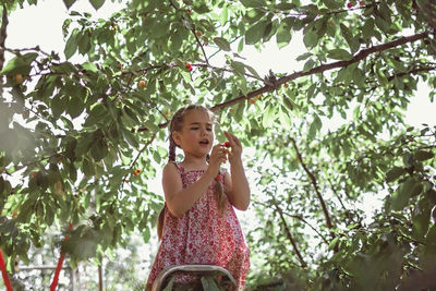 Low angle view of girl plucking fruit