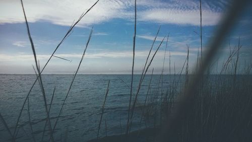 Scenic view of sea against cloudy sky