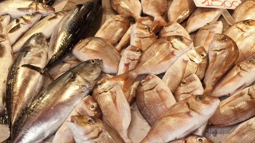 High angle view of fish for sale in market