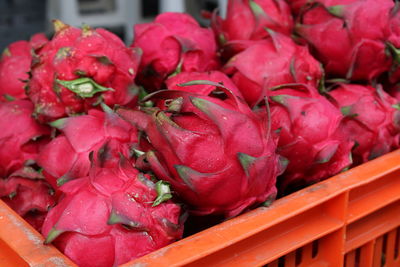 Close-up of red roses