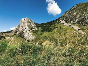 Scenic view of land against sky