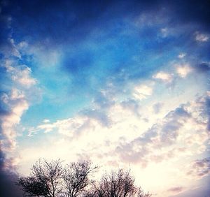 Low angle view of trees against cloudy sky