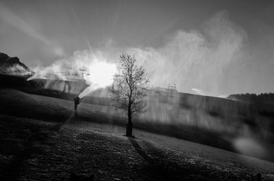Scenic view of tree against sky