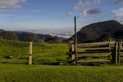 Scenic view of field against sky