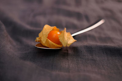 Close-up of orange on table