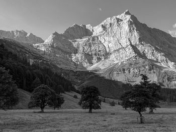 Maple trees on großer ahornboden, eng, austria against  karwendel mountains and sky 