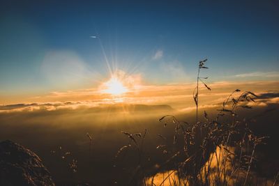 Scenic view of field against sky during sunset