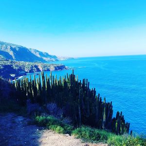 Panoramic shot of sea against clear blue sky