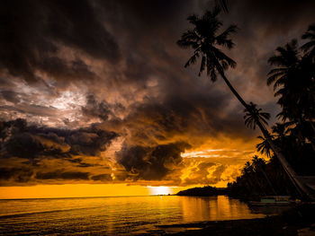 Silhouette palm trees by sea against sky during sunset