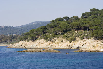 Scenic view of lake against clear sky