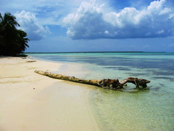 Scenic view of sea against sky