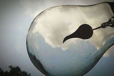 Close-up of jellyfish against sky