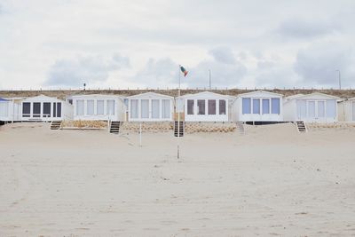 View of birds on beach against the sky