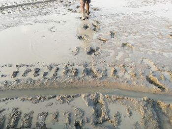 Low section of people standing on wet beach