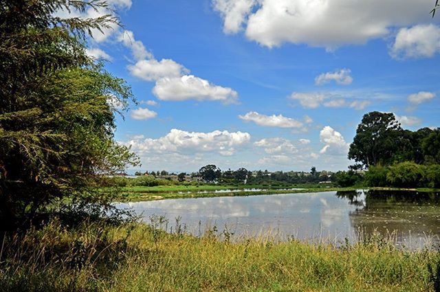 water, sky, tranquil scene, tranquility, lake, scenics, tree, grass, reflection, beauty in nature, cloud, nature, cloud - sky, blue, idyllic, growth, lakeshore, countryside, plant, landscape