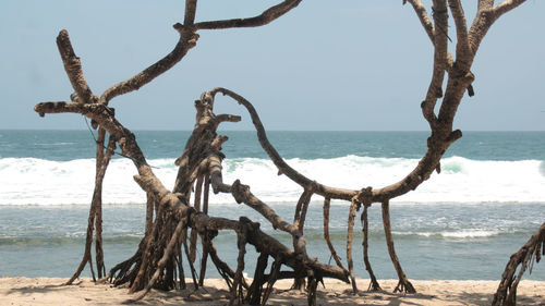 Scenic view of beach against sky