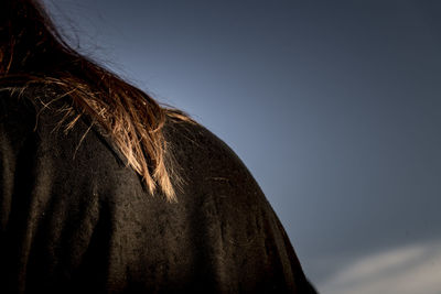 Rear view of woman against sky