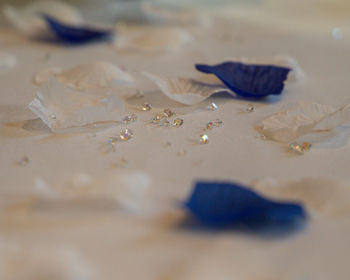 Close-up of blue paper on table