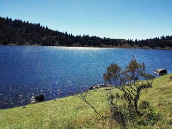 Scenic view of lake against clear sky