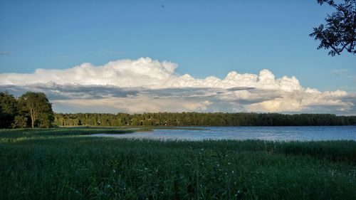 Scenic view of field against sky