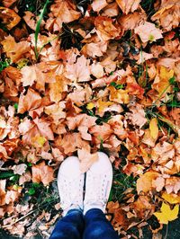 Low section of person standing on autumn leaves