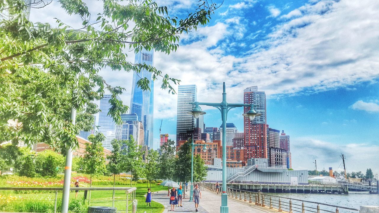 building exterior, built structure, architecture, sky, tree, city, skyscraper, modern, cloud - sky, cityscape, cloud, fence, growth, railing, tall - high, blue, tower, street light, park - man made space, day