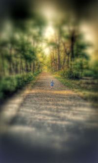 Empty road along trees