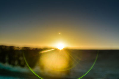 Close-up of plants against clear sky during sunset