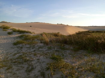 Scenic view of beach against sky