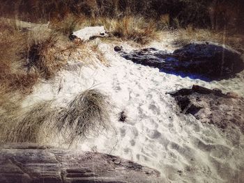 High angle view of footprints on snow covered land