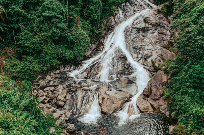 Scenic view of waterfall in forest