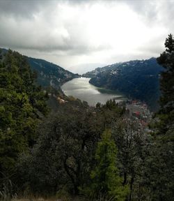 High angle view of trees on landscape against sky