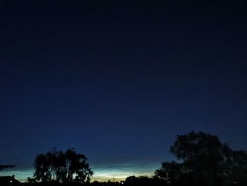 Low angle view of silhouette trees against clear sky at night