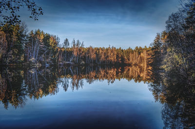 Reflection of trees in lake against sky