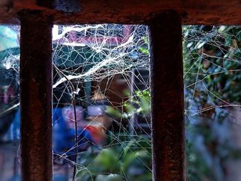 Close-up of broken glass window