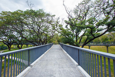 The path leading to the large tree forest garden has a shady atmosphere.