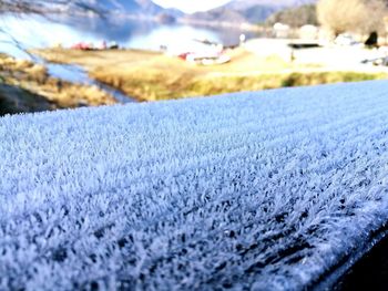 Close-up of snow on field against sky