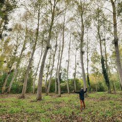 Rear view of man standing by trees in forest