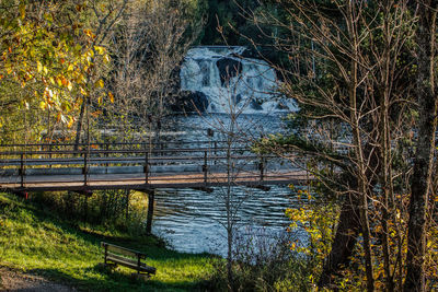 Scenic view of river in forest during autumn